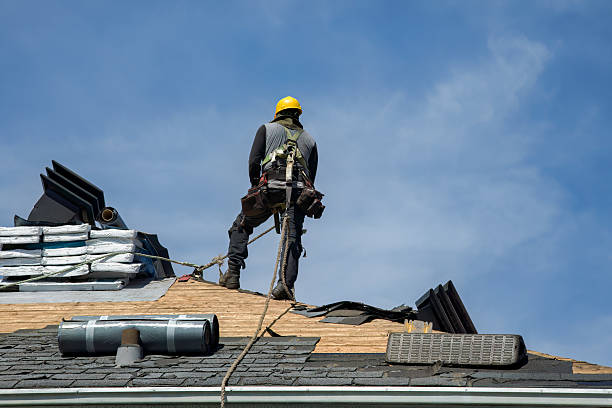 Professional Metal Roofing technician working in Genoa, IL